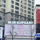 용산-133 | 신용산 선글라스 블루엘리펀트 매장 용산 쇼룸 가성비 웨딩촬영 소품 추천