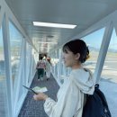 한진 카 프라자 | Hafa Adai, guam 엄마랑 괌 입국기 day1
