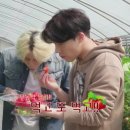 딸기나라 이미지