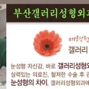 갤러리성형외과의원 이미지