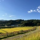 천년의 정원 이미지