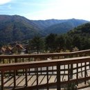 꽃들펜션 이미지