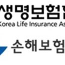 모범채권 소비라이프