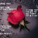 NOT ALONE HERE 이미지