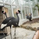 다인오세아노호텔 이미지