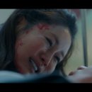 컬트세탁 이미지