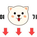 동백낭아래 키즈 독채 펜션 이미지