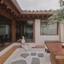 스테이고운 이미지