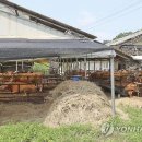 석연농장 이미지