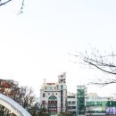 약손건강관리