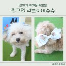 슈슈멍 | 강아지 귀 통풍 필수템! 핑크멍 리본 이어슈슈 솔직 후기