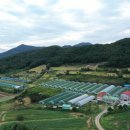 이레농원 이미지