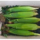 예정농장 이미지