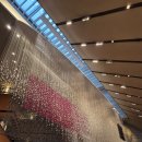 남해-249 | [신라호텔 결혼식] 신라호텔 다이너스티홀 결혼식 하객 참석 후기(코스요리, 답례품 소개)