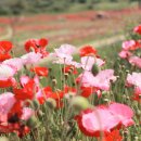 함안제일정비 이미지