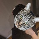 드림포스PC방 | 오세요~ 즐거운 레드버튼 입니다~ [레드버튼 알바 후기 / 레드버튼 주말알바 / 레드버튼 오픈 알바...