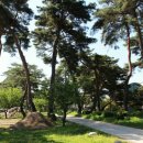 천마농장 이미지