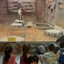 더(THE)꿈자람교실 | 2026년 여름 치앙마이 몬테소리 국제학교 캠프 모집 다녀온 엄마의 솔직 후기