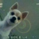 두존치킨 - 구례군 로터리길 24-1 | 두존치킨