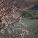 산길따라 Daum카페