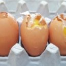 도화리농장 이미지