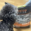 퍼피짱 | [닥터클라우더] 퍼피사료 주니어 강아지사료 4kg 후기