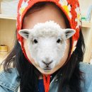 와인 인문학 | 청년 부여애 머뭄, 삶 : 2박 3일 충청남도 부여군 여행기 -2