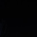 사나래캠핑장 이미지