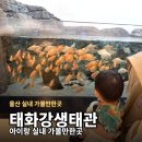 사슴의샘 | 울산 태화강생태관 | 아이랑 실내 가볼만한곳, 내돈내산 솔직후기