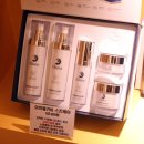 아하데이스파토르말린저온체험관 이미지