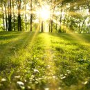 봄봄메디칼 이미지