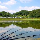 상지말저수지 이미지