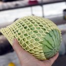 성림휠얼라이먼트