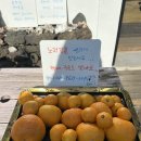 뜨개사랑방 | [제주 태교여행] 잼있는집, 아기자기한 종달리 소품점, 뜨개인형, 귤 맛집 후기