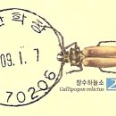 학장동우체국 이미지