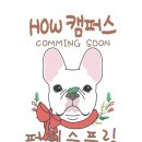 퍼피스프링 부천점 이미지