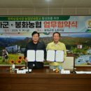 봉화상설시장 이미지