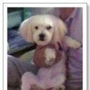 동삼1동-2 이미지