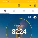 진달래핀풍경