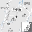 울주 무제치늪] 6천년 태고의 신비 간직한 '산중(山中) 스펀지' 이미지