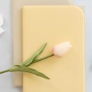 데이러블 이미지