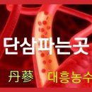 대흥농수산