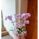 승진농장 이미지