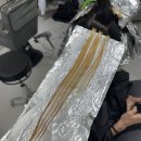 발레아쥬 | 발레아쥬란? 베이지 발레아쥬 시술 후기와 유지 방법까지 정리