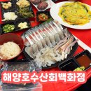 바다수산회 | 제주 외도 횟집 라면 부추전 주는 해양호수산회백화점 활어회 맛집