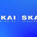 스카이월드 이미지