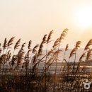 늦기 전에, 엄마 딸 여행 이미지