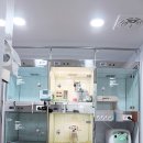 배선생펫스토리동물병원 이미지