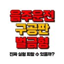 음주운전 구공판 벌금형 - 2024년 최신 판결 경향을 알아보세요! 이미지