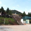 강진10호 이미지